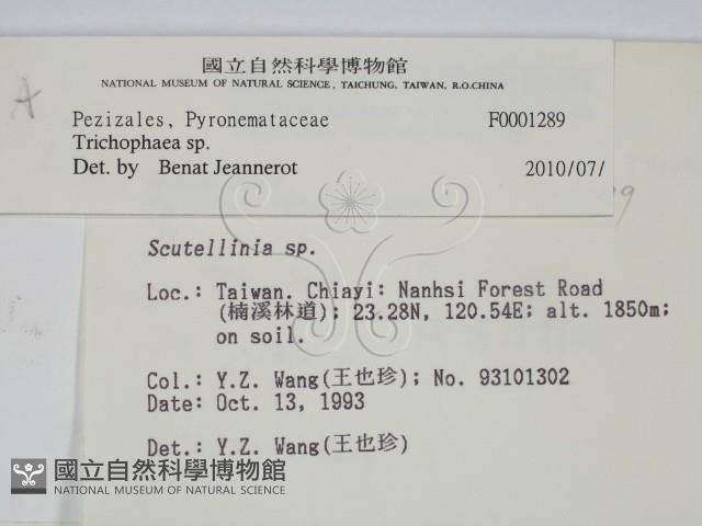登錄號:F0001289藏品圖，第2張