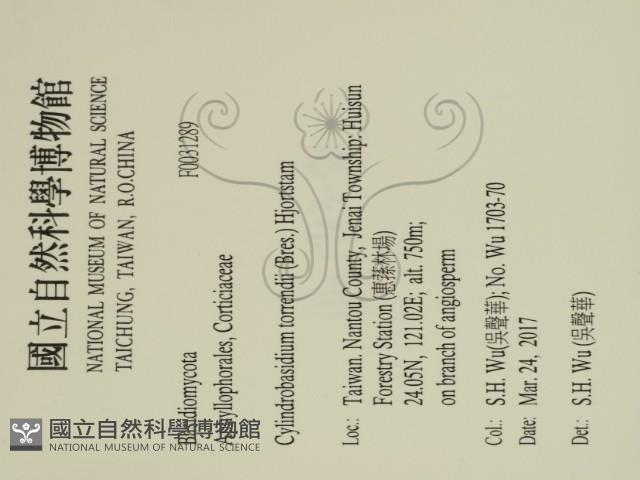 登錄號:F0031289藏品圖，第2張