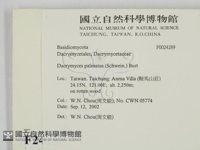 登錄號:F0024289藏品圖，第2張