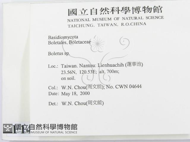 登錄號:F0014289藏品圖，第2張