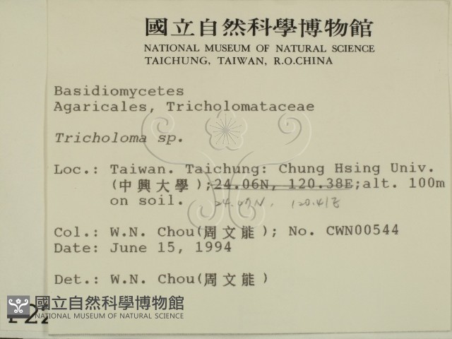 登錄號:F0002289藏品圖，第2張