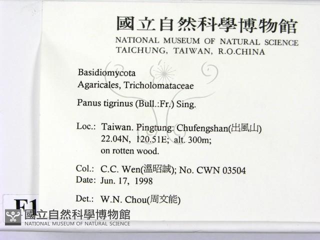登錄號:F0012289藏品圖，第2張