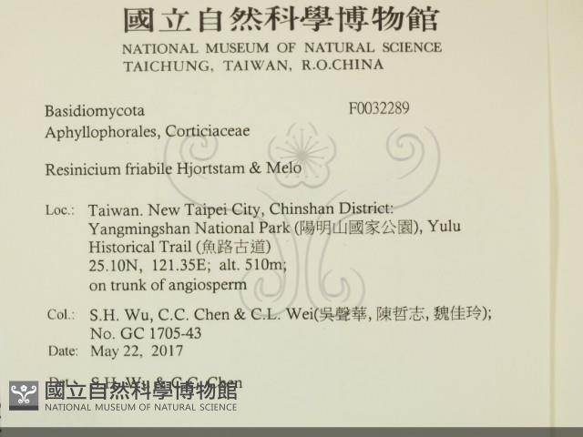 登錄號:F0032289藏品圖，第2張