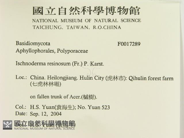 登錄號:F0017289藏品圖，第2張