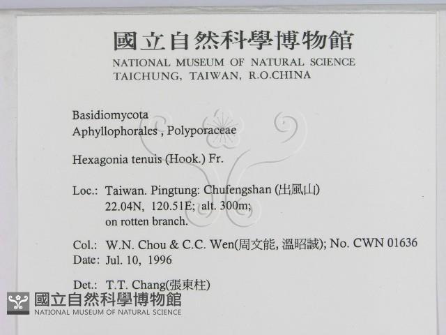 登錄號:F0005289藏品圖，第2張