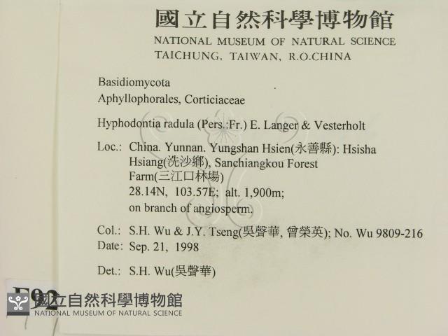 登錄號:F0009289藏品圖，第2張