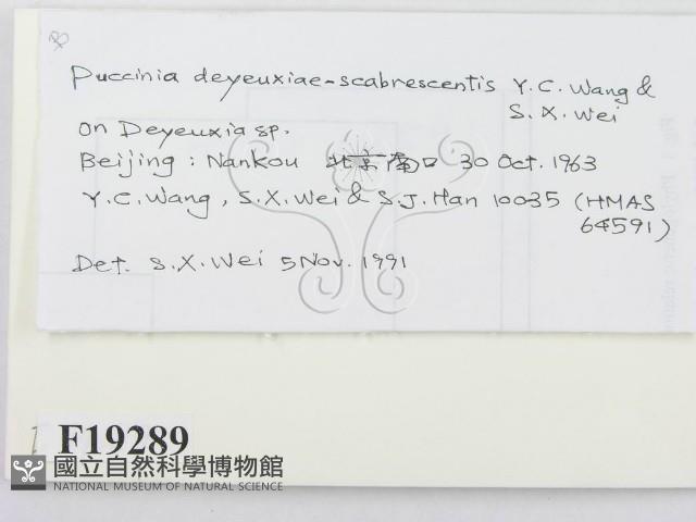 登錄號:F0019289藏品圖，第2張