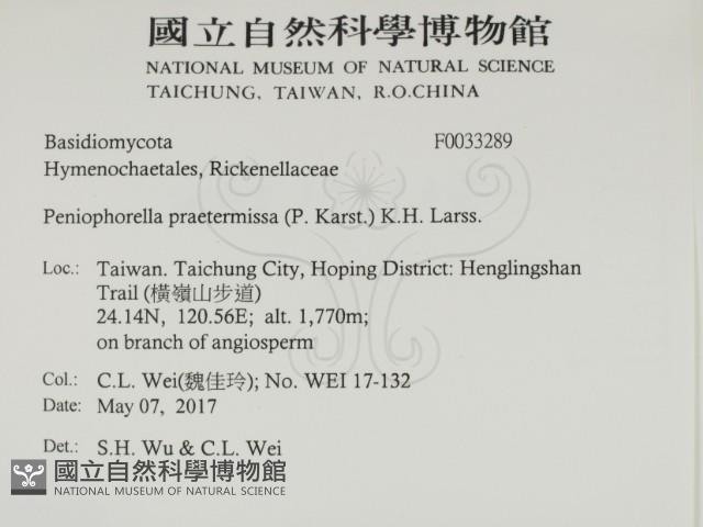 登錄號:F0033289藏品圖，第2張