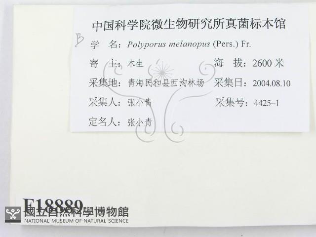 登錄號:F0018889藏品圖，第2張