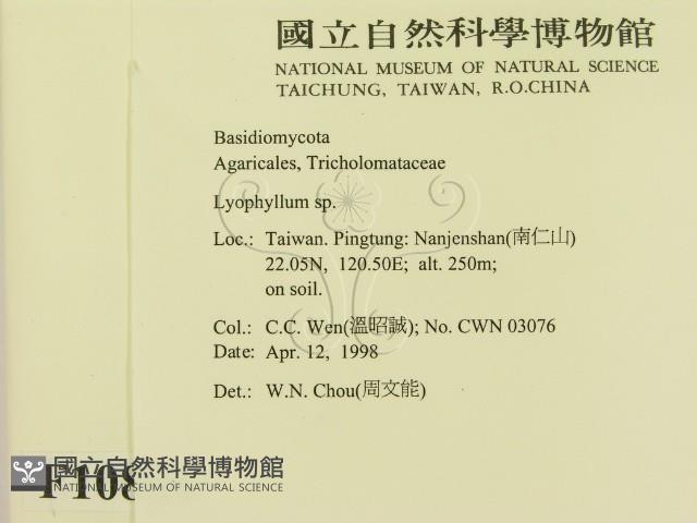 登錄號:F0010889藏品圖，第2張