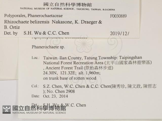 登錄號:F0030889藏品圖，第2張