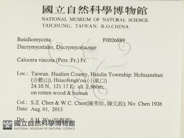 登錄號:F0026889藏品圖，第2張