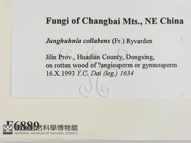 登錄號:F0006889藏品圖，第2張