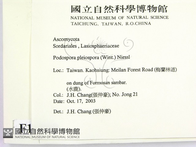 登錄號:F0016889藏品圖，第2張