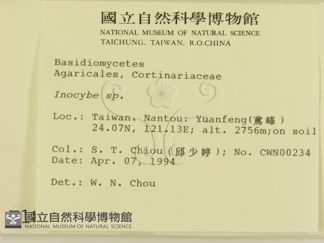 登錄號:F0001889藏品圖，第2張