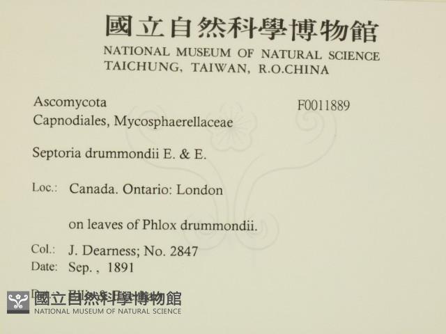 登錄號:F0011889藏品圖，第2張