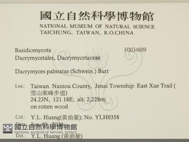 登錄號:F0034889藏品圖，第2張