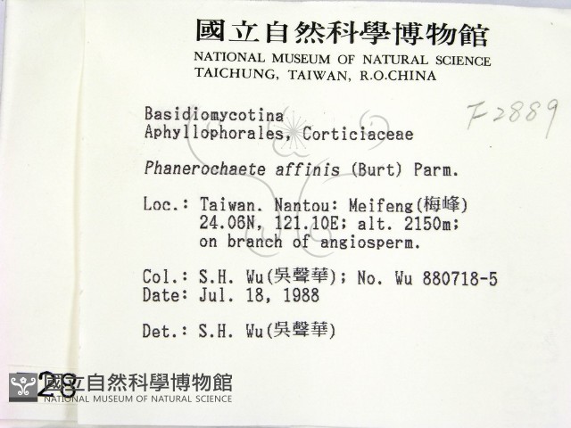 登錄號:F0002889藏品圖，第2張