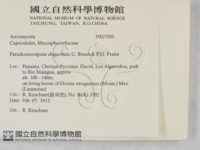 登錄號:F0027889藏品圖，第2張