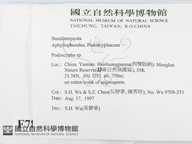 登錄號:F0007889藏品圖，第2張