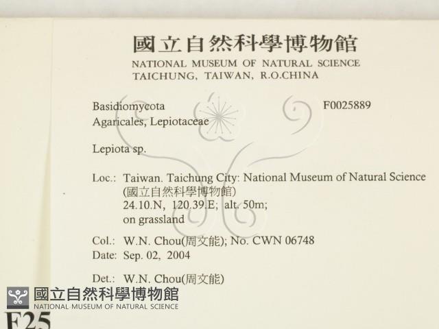 登錄號:F0025889藏品圖，第2張