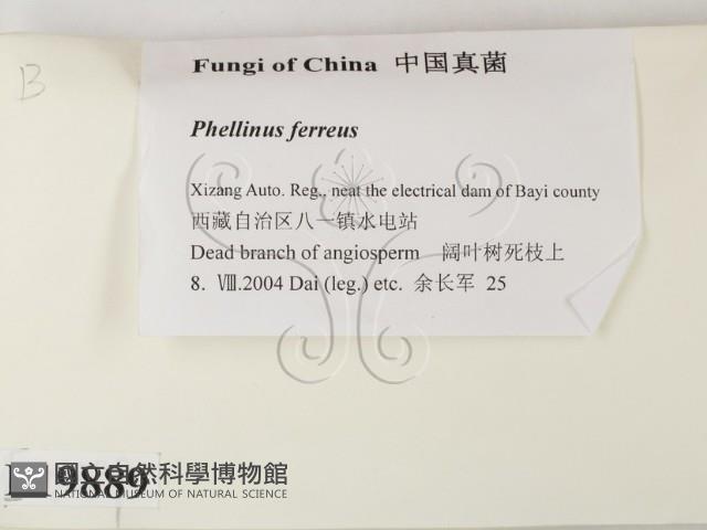 登錄號:F0019889藏品圖，第2張
