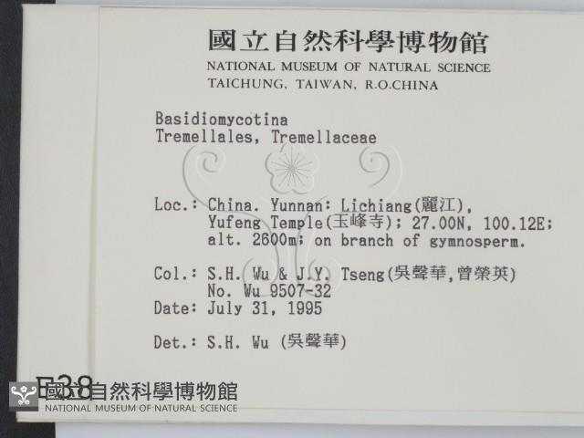 登錄號:F0003889藏品圖，第2張