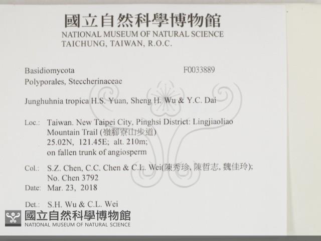 登錄號:F0033889藏品圖，第2張