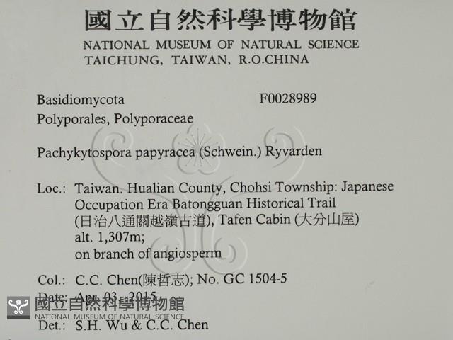 登錄號:F0028989藏品圖，第2張