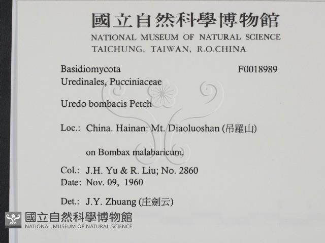 登錄號:F0018989藏品圖，第2張