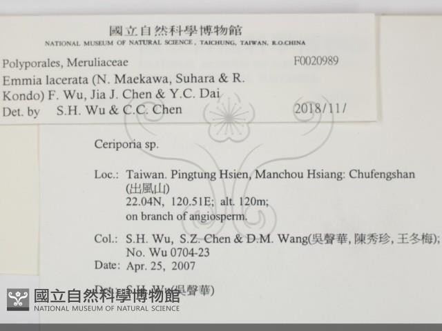 登錄號:F0020989藏品圖，第2張