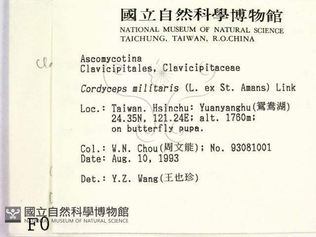 登錄號:F0000989藏品圖，第2張