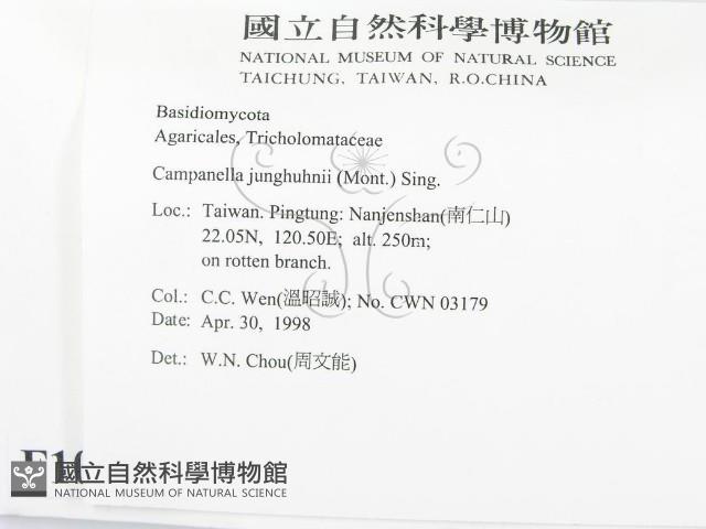 登錄號:F0010989藏品圖，第2張