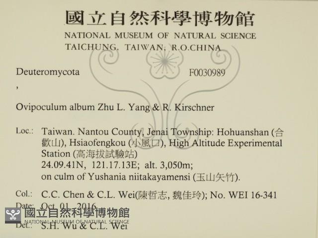 登錄號:F0030989藏品圖，第2張