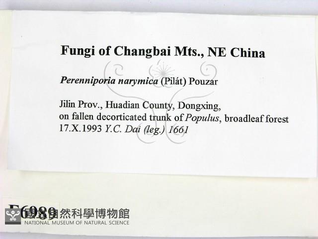 登錄號:F0006989藏品圖，第2張