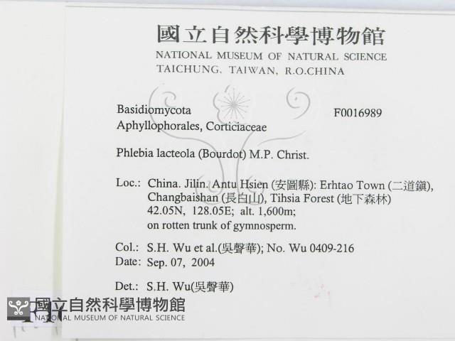 登錄號:F0016989藏品圖，第2張
