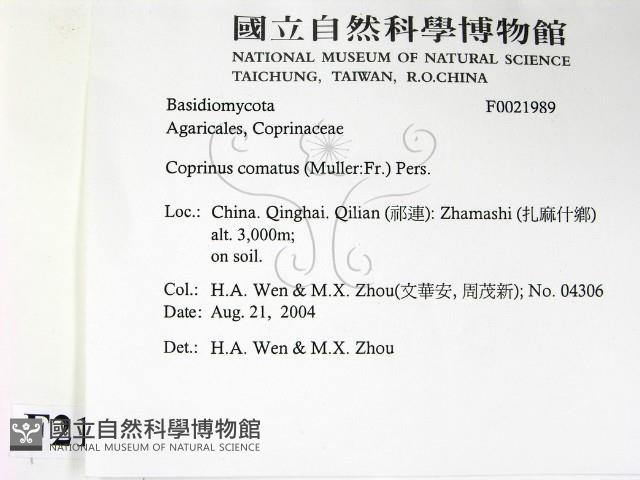 登錄號:F0021989藏品圖，第2張