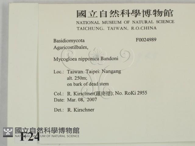 Accession Number:F0024989 Collection Image, Figure 2, Total 3 Figures