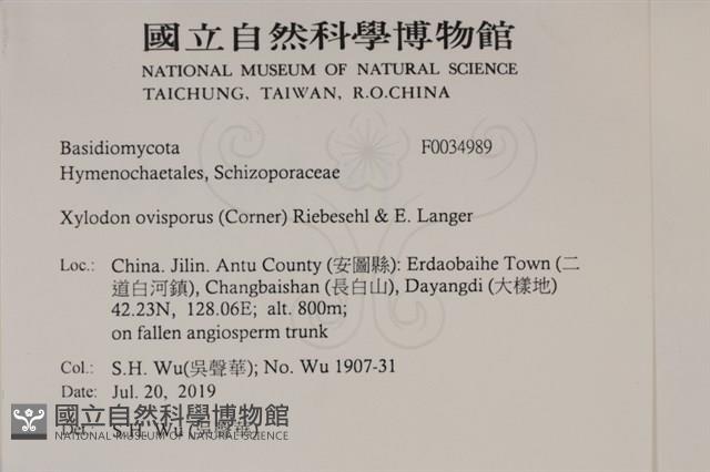 登錄號:F0034989藏品圖，第2張