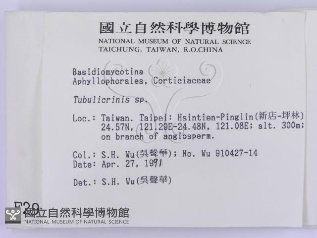 登錄號:F0002989藏品圖，第2張