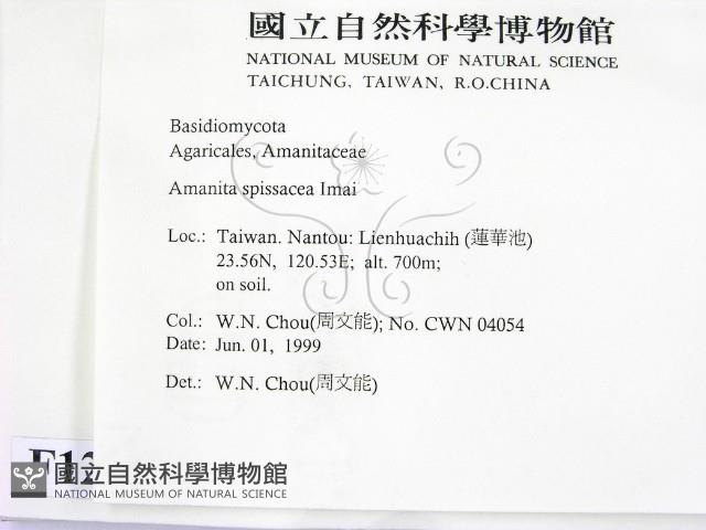 登錄號:F0012989藏品圖，第2張