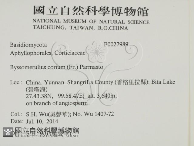 登錄號:F0027989藏品圖，第2張