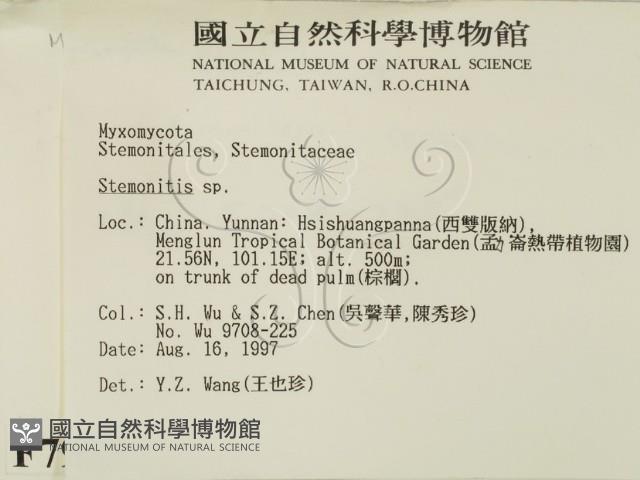 登錄號:F0007989藏品圖，第2張