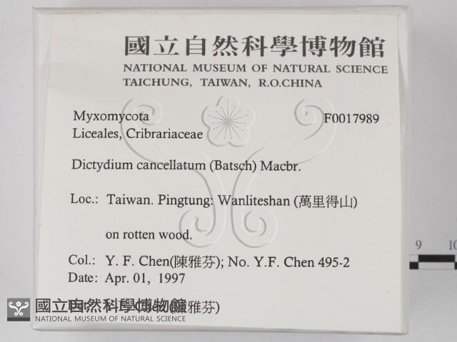 登錄號:F0017989藏品圖，第2張
