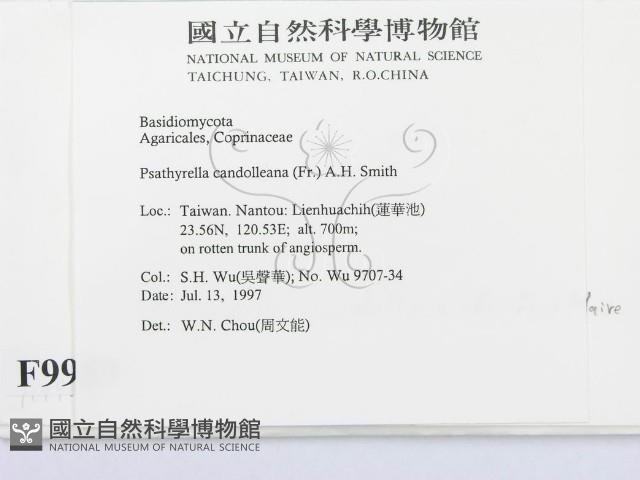 登錄號:F0009989藏品圖，第2張