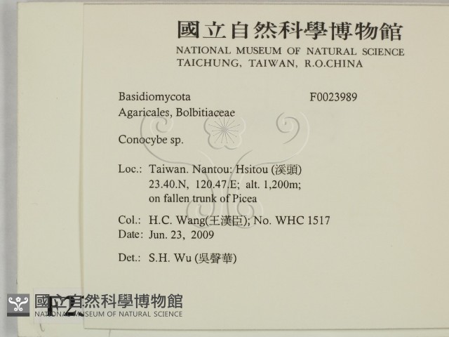 登錄號:F0023989藏品圖，第2張