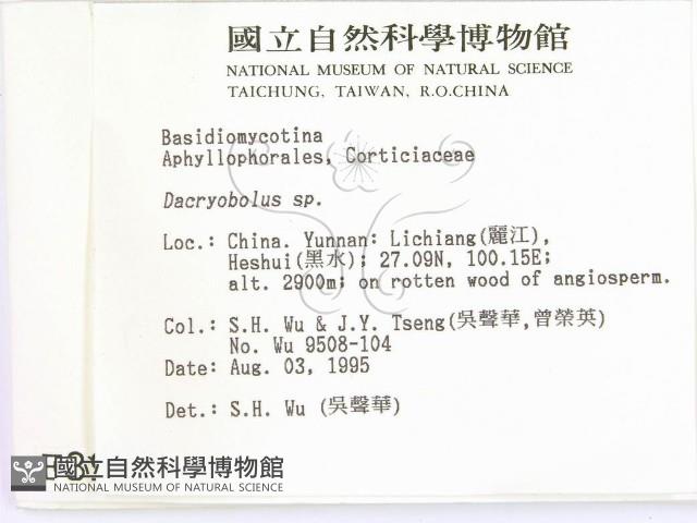 登錄號:F0003989藏品圖，第2張