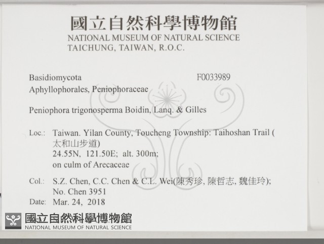 登錄號:F0033989藏品圖，第2張