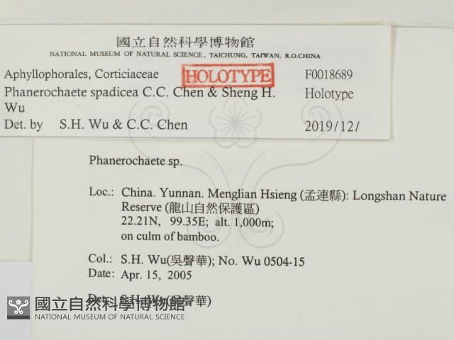 登錄號:F0018689藏品圖，第2張