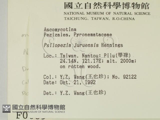 登錄號:F0000689藏品圖，第2張